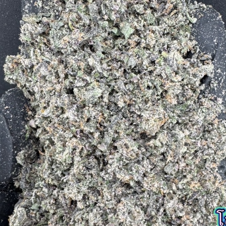 23-08-25 06-37-23pm.jpg